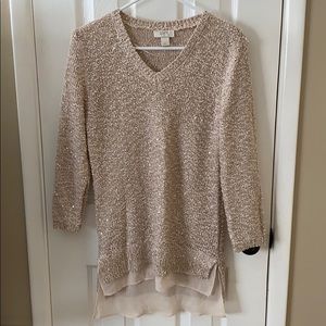 Ann Taylor LOFT Sparkle Sweater Size M